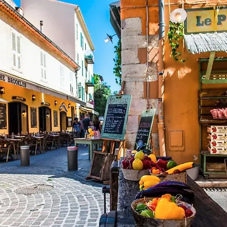 Cocoon In The Heart Of New Contemporary Air-conditioned Antibes
